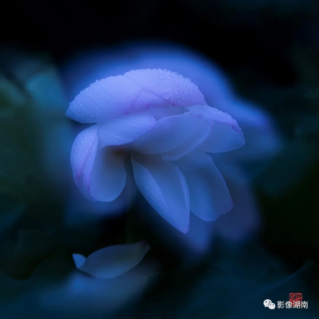 DƬ